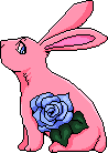 pink bunny with a blue rose