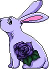 purple bunny with a purple rose
