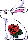 white bunny with a red rose