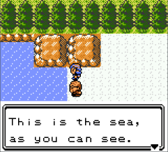 player character being shown the sea  of Cherrygrove City by an NPC town guide