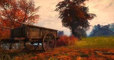 wheelbarrow in foreground with autumn trees behind