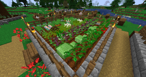 a crop field with rows of various crops, from cabbages to radishes to eggplants