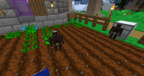 two small wooden golems stand in a crop field, looking at the player