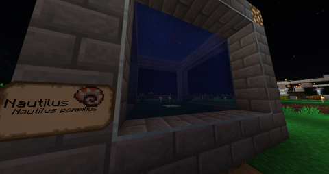 a small aquarium lined with brick, a sign proclaims the creature inside to be a Nautilus, Nautilus pompilius to be exact
