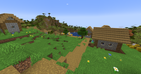 a path leading to a Minecraft village in the plains