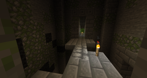 A narrow walkway in an underground dungeon structure